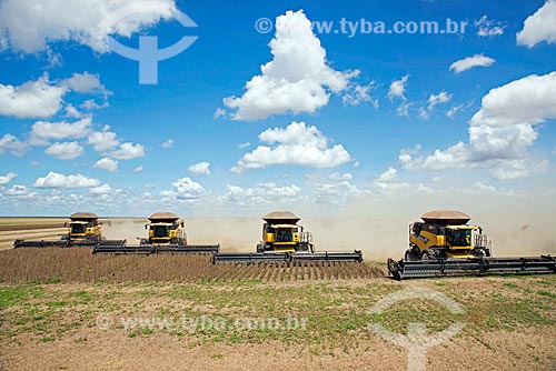  Soybean mechanized harvesting  - Formosa do Rio Preto city - Bahia state (BA) - Brazil