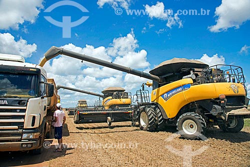  Soybean unloading during mechanized harvesting  - Formosa do Rio Preto city - Bahia state (BA) - Brazil