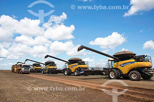  View of harvesters during the soybean harvest  - Formosa do Rio Preto city - Bahia state (BA) - Brazil