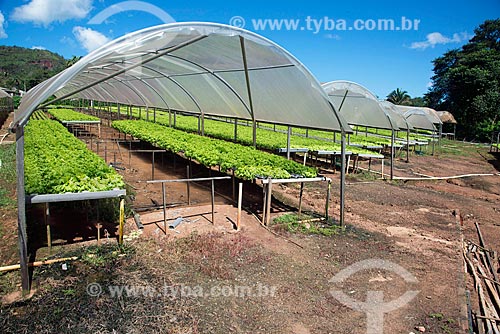  Greenhouse of hydroponic kitchen garden  - Palmas city - Tocantins state (TO) - Brazil