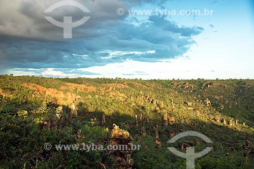  View of the Chapadoes das Serras Gerais - also known as Garganta Plateau (Throat Plateau)  - Dianopolis city - Tocantins state (TO) - Brazil