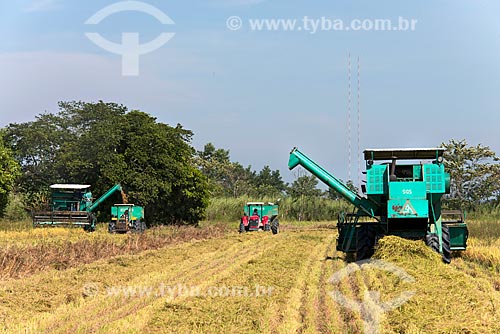  Rice mechanized harvesting  - Tremembe city - Sao Paulo state (SP) - Brazil