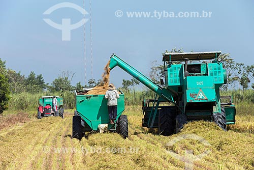  Rice mechanized harvesting  - Tremembe city - Sao Paulo state (SP) - Brazil