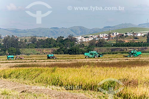  Rice mechanized harvesting  - Cacapava city - Sao Paulo state (SP) - Brazil
