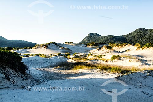  Dune - Acores Beach  - Florianopolis city - Santa Catarina state (SC) - Brazil