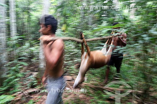  Riverines carrying deer hunted in amazon rainforest  - Amazonas state (AM) - Brazil