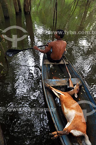  Riverine taking deer in your canoe - hunted in amazon rainforest  - Amazonas state (AM) - Brazil