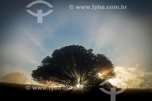  View of dawn - guarani city rural zone  - Guarani city - Minas Gerais state (MG) - Brazil