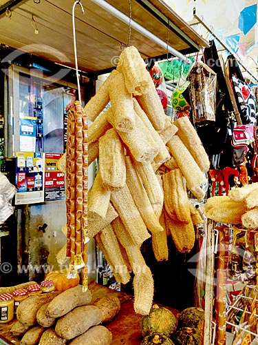  Detail of loofah (Luffa aegyptiaca) to sale - Luiz Gonzaga Northeast Traditions Centre  - Rio de Janeiro city - Rio de Janeiro state (RJ) - Brazil