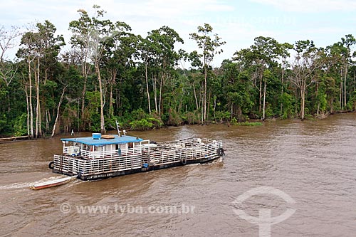  Ferry transporting cattle in the Amazonas River between the Manaus and Itacoatiara cities   - Manaus city - Amazonas state (AM) - Brazil