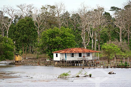  House - riparian community on the banks of the Amazonas River between the Manaus and Itacoatiara cities  - Manaus city - Amazonas state (AM) - Brazil