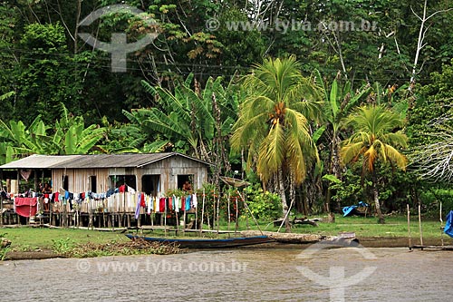  House - riparian community on the banks of the Amazonas River near to Itacoatiara city  - Itacoatiara city - Amazonas state (AM) - Brazil