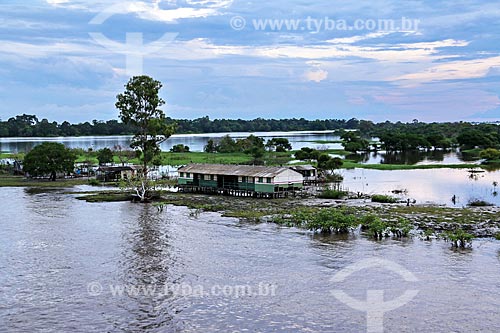  House - riparian community on the banks of the Amazonas River near to Itacoatiara city  - Itacoatiara city - Amazonas state (AM) - Brazil