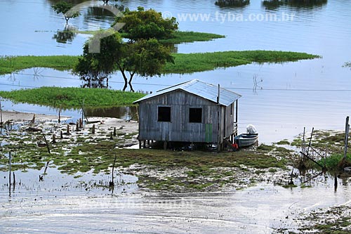  House - riparian community on the banks of the Amazonas River near to Itacoatiara city  - Itacoatiara city - Amazonas state (AM) - Brazil