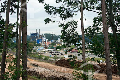  View of the Fibria Celulose factory with stacks of tree trunks  - Jacarei city - Sao Paulo state (SP) - Brazil
