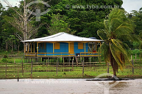  House - riparian community on the banks of the Amazonas River  - Manaus city - Amazonas state (AM) - Brazil