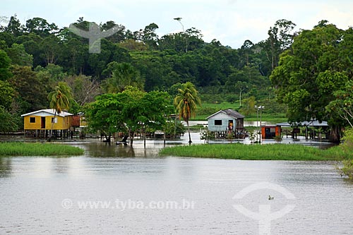  Riparian community on the banks of the Amazonas River near to Manaus city  - Manaus city - Amazonas state (AM) - Brazil