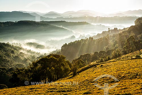  Rural landscape - Linha Pinhal district  - Treze Tilias city - Santa Catarina state (SC) - Brazil