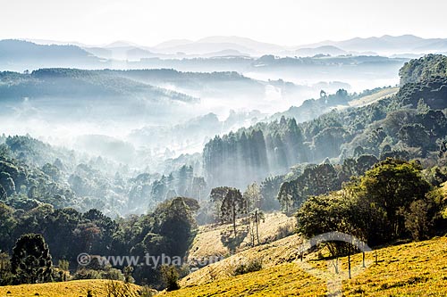  Rural landscape - Linha Pinhal district  - Treze Tilias city - Santa Catarina state (SC) - Brazil