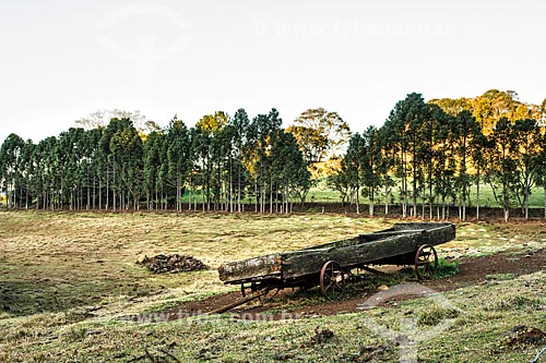  Rural landscape - Linha Babenberg district  - Treze Tilias city - Santa Catarina state (SC) - Brazil