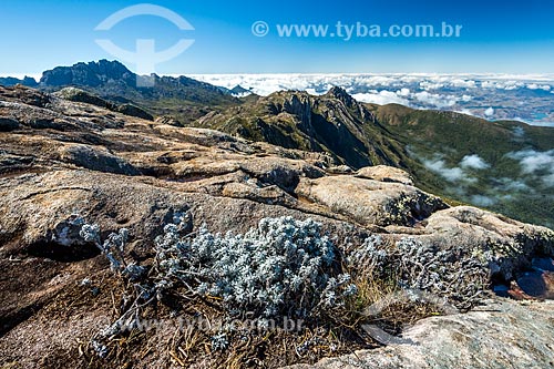  View from the trail of the Itatiaia National Park  - Itatiaia city - Rio de Janeiro state (RJ) - Brazil