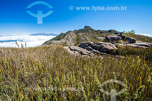  View from the trail of the Itatiaia National Park  - Itatiaia city - Rio de Janeiro state (RJ) - Brazil