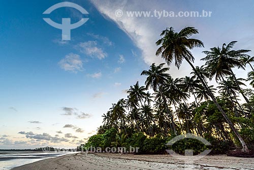  View of the Morere Beach waterfront during the sunset  - Cairu city - Bahia state (BA) - Brazil