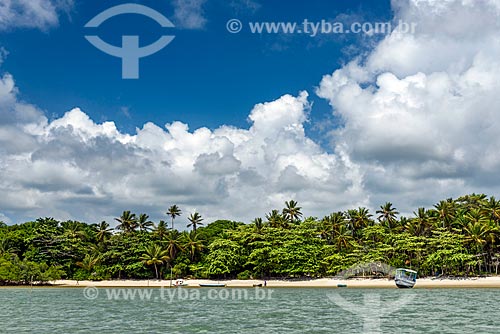  View of the Morere Beach waterfront  - Cairu city - Bahia state (BA) - Brazil