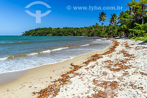  View of the Tassimirim Beach waterfront  - Cairu city - Bahia state (BA) - Brazil
