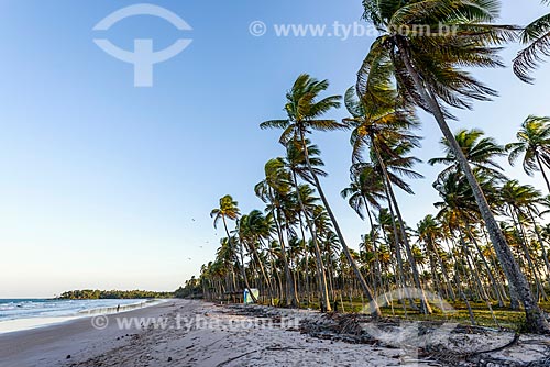  View of the Cueira Beach waterfront during the sunset  - Cairu city - Bahia state (BA) - Brazil