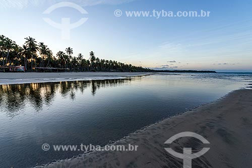  View of the Cueira Beach waterfront during the sunset  - Cairu city - Bahia state (BA) - Brazil