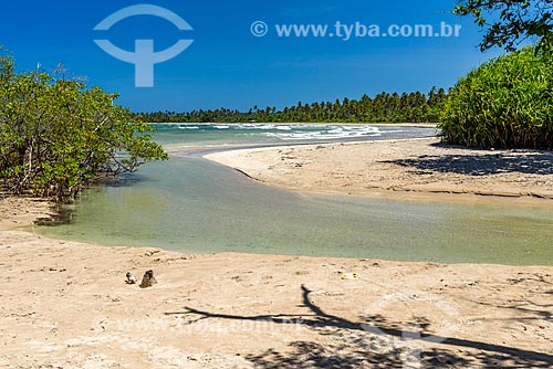  River mouth - Bainema Beach  - Cairu city - Bahia state (BA) - Brazil