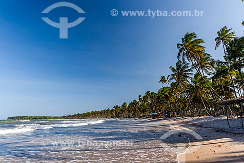  View of the Cueira Beach waterfront  - Cairu city - Bahia state (BA) - Brazil