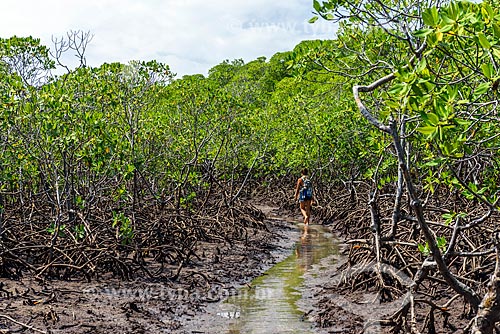  Mangrove between the Bainema Beach and the Tip of Castelhanos  - Cairu city - Bahia state (BA) - Brazil