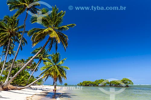  View of the coconut palms - Tip of Castelhanos waterfront  - Cairu city - Bahia state (BA) - Brazil