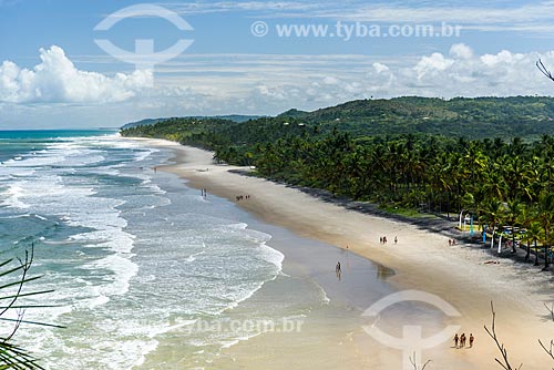  View of the Itacarezinho Beach waterfront  - Itacare city - Bahia state (BA) - Brazil