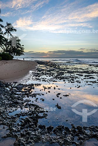  View of the sunset from Tip of Muta Beach  - Marau city - Bahia state (BA) - Brazil