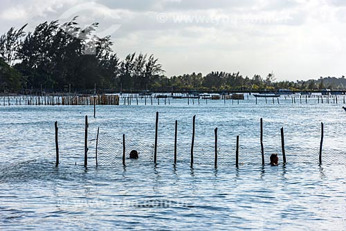  Aquaculture - Barra Grande village waterfront  - Marau city - Bahia state (BA) - Brazil