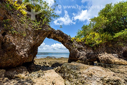  View of the Pedra Furada Island (Pierced Rock Island)  - Camamu city - Bahia state (BA) - Brazil