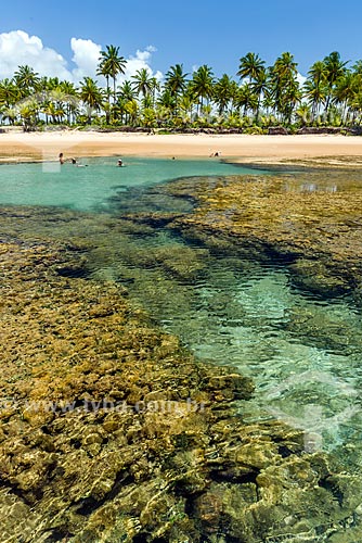  Natural pool - Taipus de fora beach  - Marau city - Bahia state (BA) - Brazil