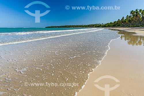  View of the Garapua Beach waterfront  - Cairu city - Bahia state (BA) - Brazil