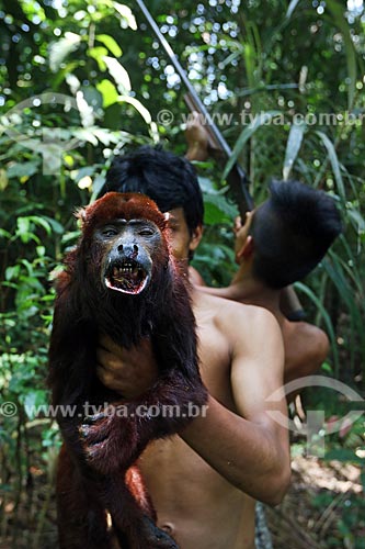  Detail of black howler (Alouatta caraya) - dead by riverines hunters near to BR-174 highway  - Amazonas state (AM) - Brazil