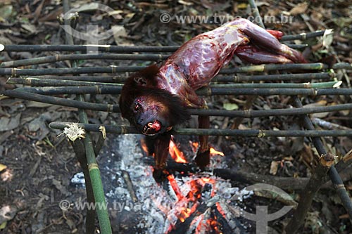  Detail of black howler (Alouatta caraya) - being cooked by riverines hunters near to BR-174 highway  - Amazonas state (AM) - Brazil