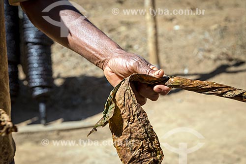  Detail of processing of the tobacco twist - Guarani city rural zone  - Guarani city - Minas Gerais state (MG) - Brazil