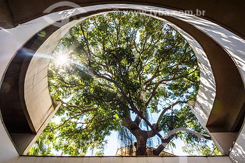  View of the mango tree (Mangifera indica L) - garage of the Beverly Hills Building  - Rio de Janeiro city - Rio de Janeiro state (RJ) - Brazil