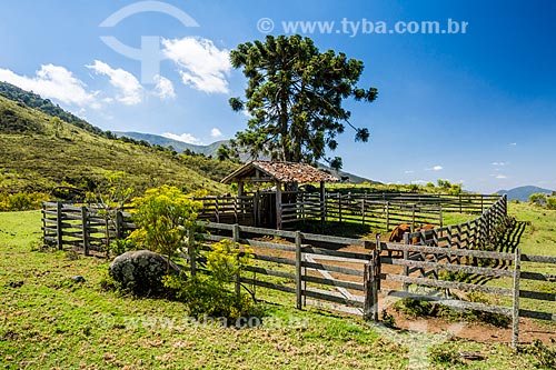  Horse corral near to Tres Picos State Park  - Teresopolis city - Rio de Janeiro state (RJ) - Brazil