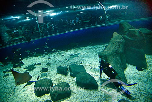  Diver - AquaRio - marine aquarium of the city of Rio de Janeiro  - Rio de Janeiro city - Rio de Janeiro state (RJ) - Brazil