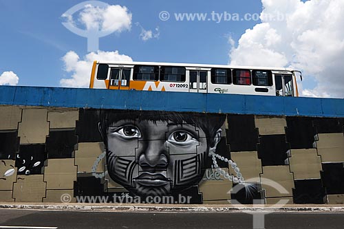  Graffiti by Raiz Campos with Amazonian themes - Gilberto Mestrinho Road Complex  - Manaus city - Amazonas state (AM) - Brazil