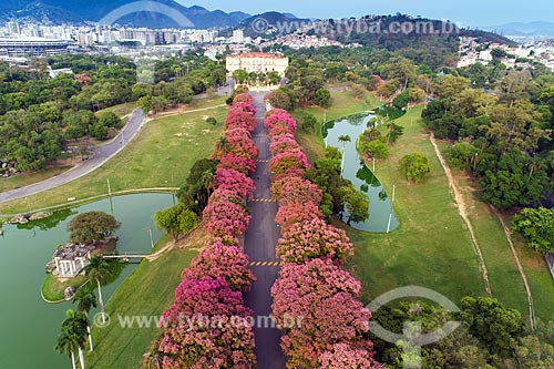  Aerial view of Quinta da Boa Vista Park  - Rio de Janeiro city - Rio de Janeiro state (RJ) - Brazil