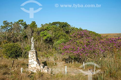  Statue of Sao Francisco de Assis near to the source of the Sao Francisco River in Serra da Canastra National Park  - Sao Roque de Minas city - Minas Gerais state (MG) - Brazil